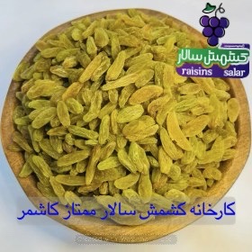 تصویر 5 از تامین کننده کشمش سبز قلمی