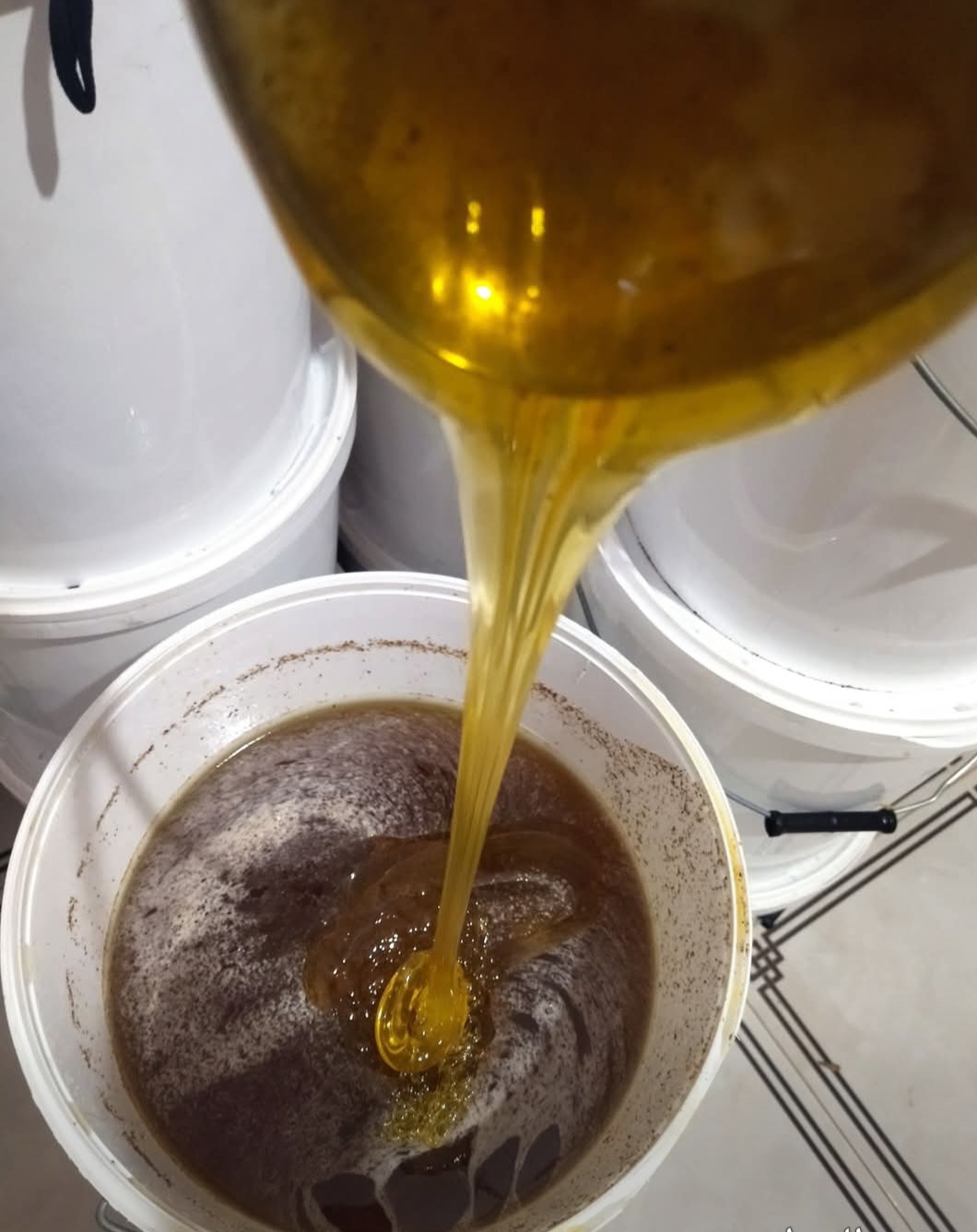تصویر 5 از قیمت باورنکردنی عسل فله + فروش عمده