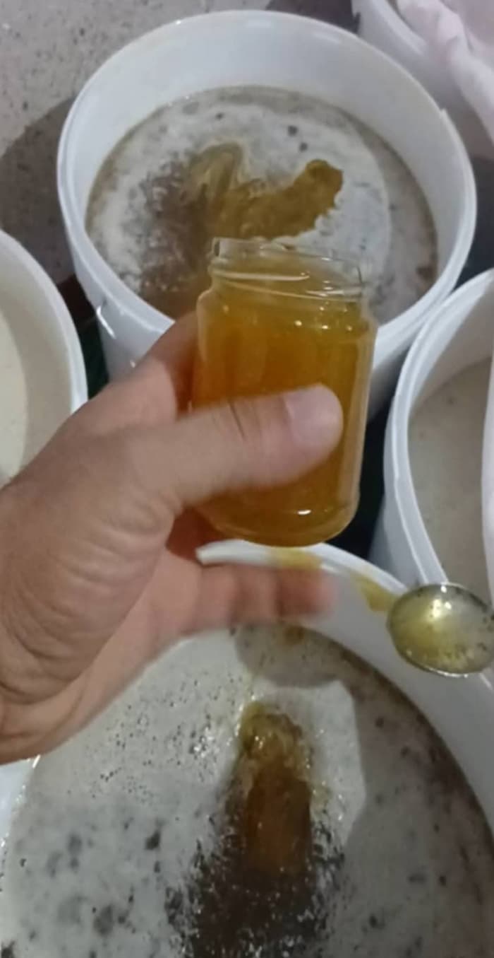 تصویر 2 از قیمت باورنکردنی عسل فله + فروش عمده