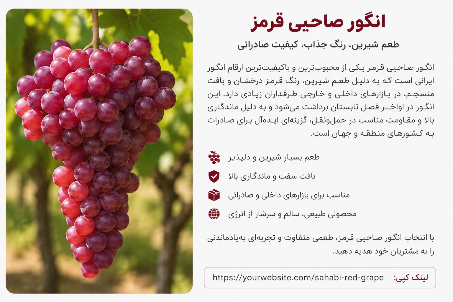 قیمت خرید عمده انگور صاحبی قرمز ایران