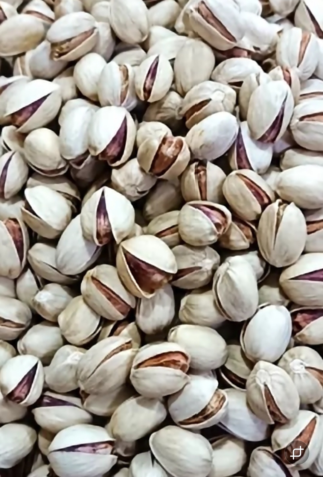 فروش مستقیم پسته کله قوچی خندان کرمان + محصولی چشمگیر با ارزش افزوده + قیمت و خرید عمده