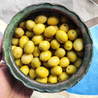 زیتون باهسته ویژه ۲۰۰ گرمی + زیتون سبز خوش طعم و باکیفیت