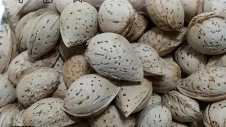 تصویر 1 از بادام منقا مرغوب خرید به صرفه