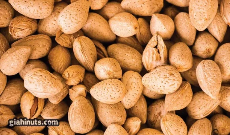 تصویر 2 از بادام ربعی مرغوب خرید به صرفه