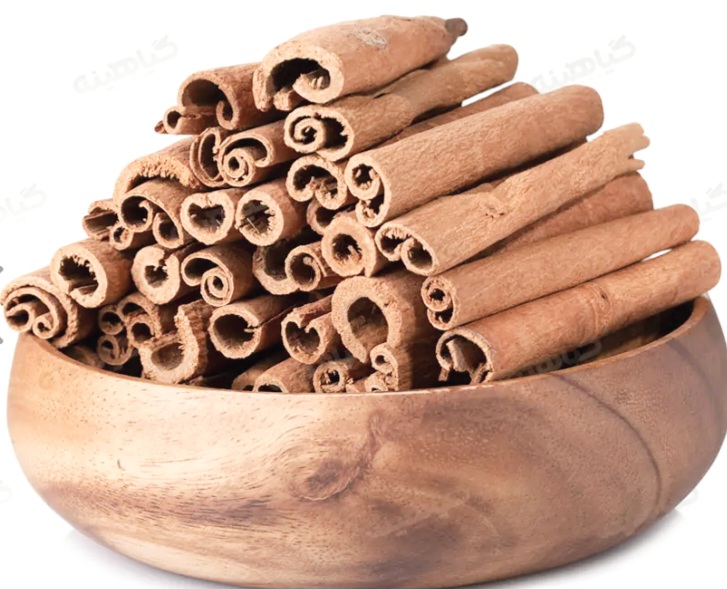 فروش دارچین