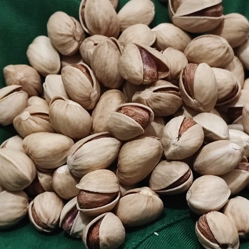 تصویر 1 از خرید عمده پسته کله قوچی رفسنجان + کیفیتی ممتاز و قیمت رقابتی