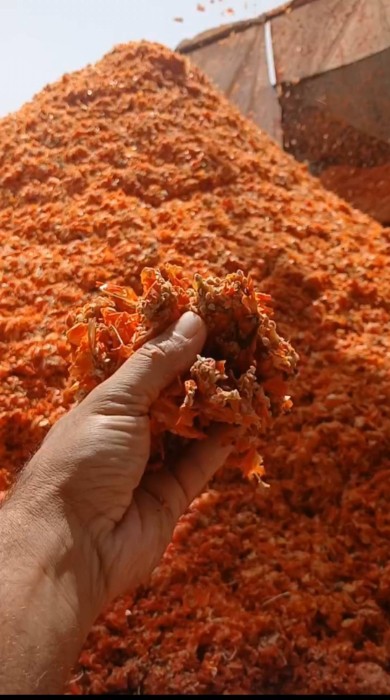 خریدار انواع تفاله گوجه از سراسر کشور