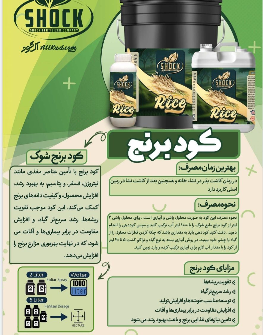 کود برنج ویژہ فروش به قیمت رقابتی