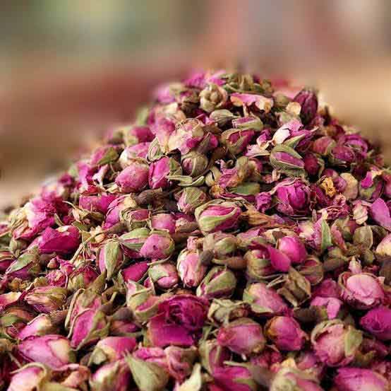 غنچه گل محمدی داراب