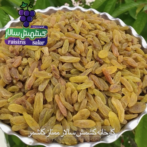 قیمت کارتن کشمش سبز کاشمر