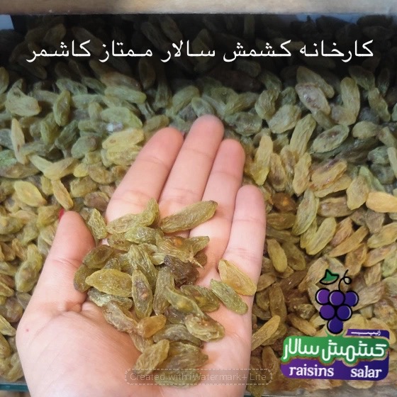 کشمش سبز کاشمر بدون هسته