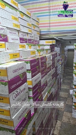 تصویر 3 از قیمت کشمش سبز کاشمر اعلا