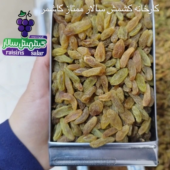 تصویر 1 از صادرات کشمش سبز به خلیج فارس