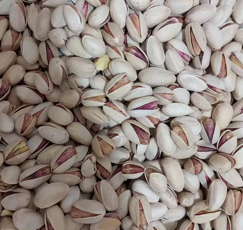 پسته اکبری ممتاز کرمان + برای تجارت خارجی کیفیت مناسب تجارت جهانی + قیمت و خرید عمده