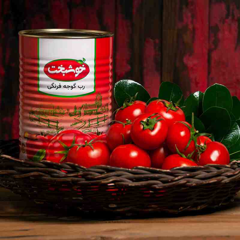 تصویر 2 از خرید کنسرو رب گوجه فرنگی ۴۰۰ گرمی + قیمت عمده
