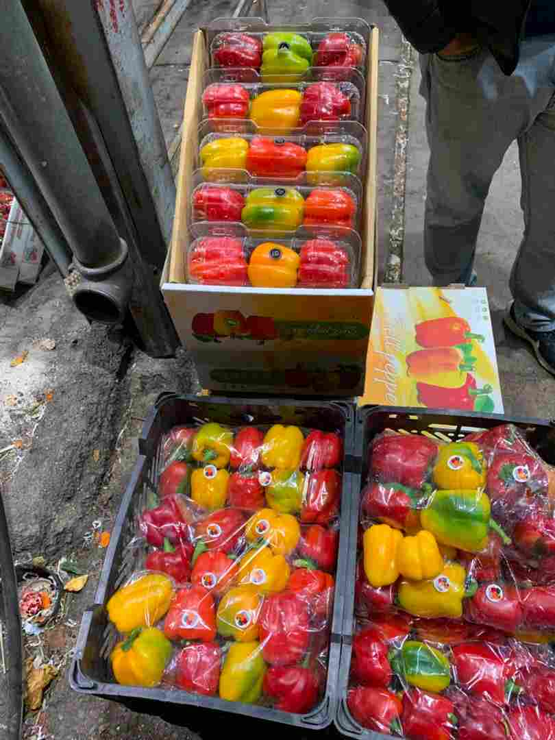 تصویر 1 از خرید عمده فلفل دلمه‌ای رنگی گلخانه‌ای درشت و خوش‌ رنگ مناسب بازار داخلی