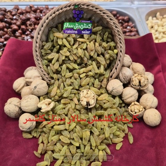 کشمش سبز کاشمر رطوبت استاندارد