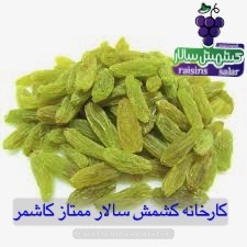 تصویر 1 از کشمش سبز کاشمر بسته ۱۰ کیلو