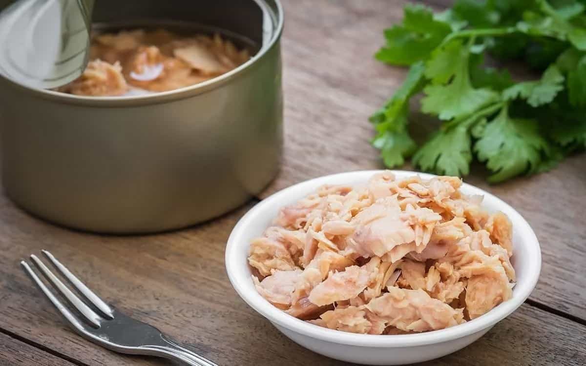 کنسرو تن ماهی در روغن گیاهی خوش خوراک برای وعده ها