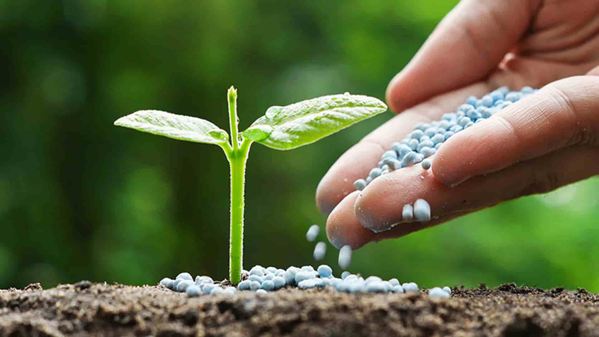 کربنات کلسیم در کشاورزی مناسب افزایش بهره وری خاک