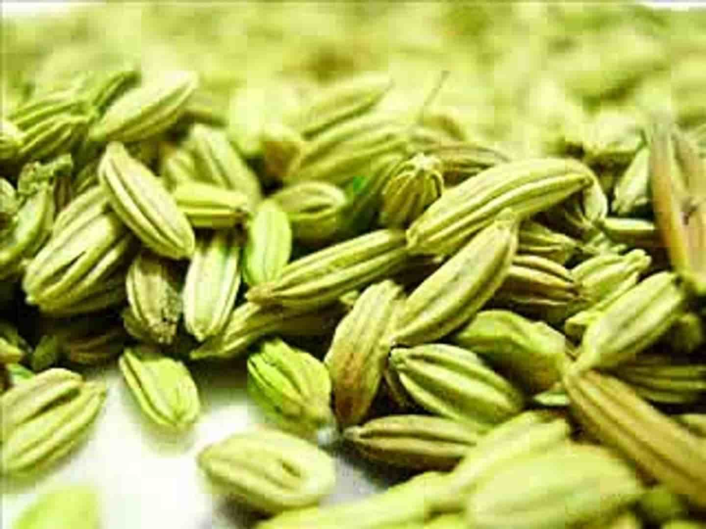 زیره سبز تازه با عطر قوی و کیفیت برداشت جدید