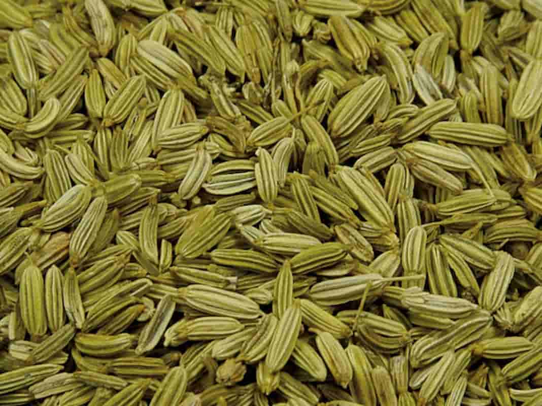 زیره سبز خراسان با عطر اصیل و کیفیت ممتاز