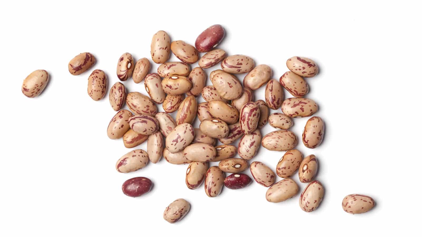 لوبیا چیتی کردستان خوش طعم و مناسب انواع غذا