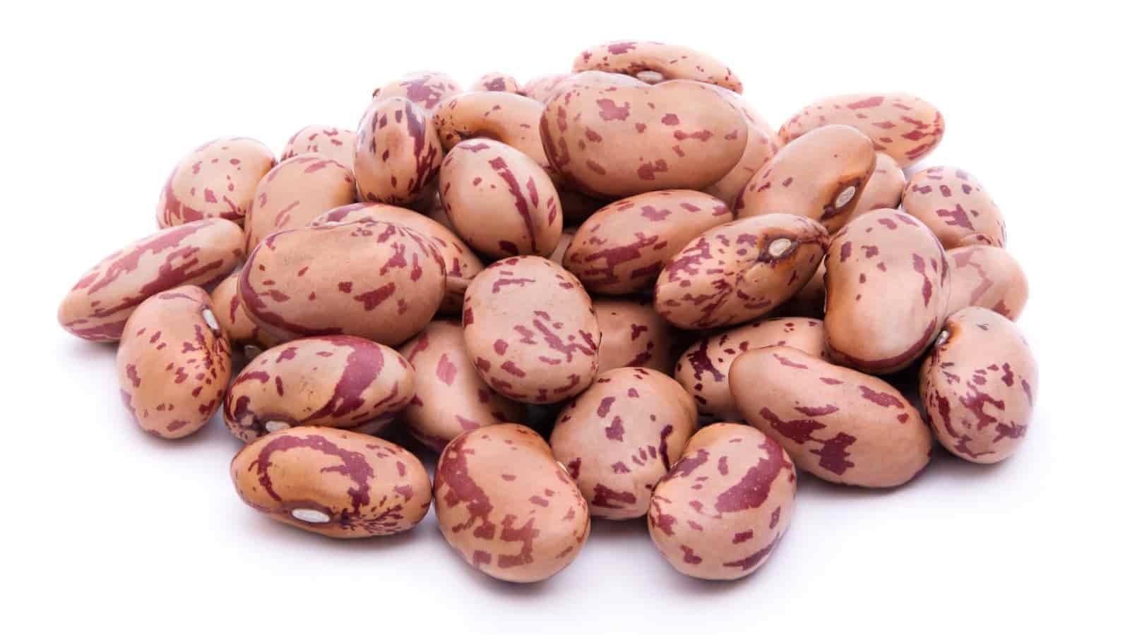 لوبیا چیتی ساده خوش رنگ و سالم