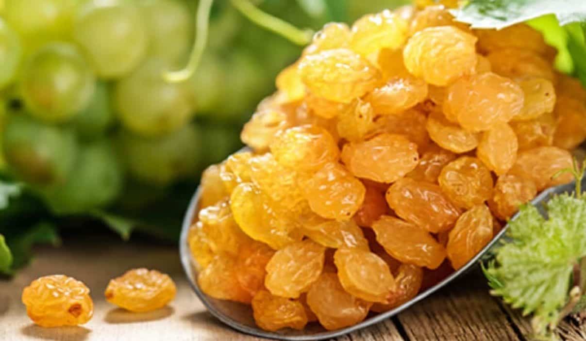 کشمش طلایی ملایر با رنگ طلایی و طعم طبیعی
