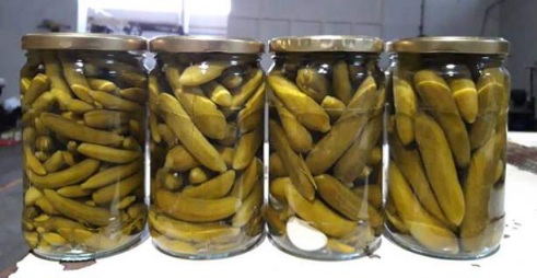 خیارشور | خیارشور مناسب مصرف خانگی و رستورانی