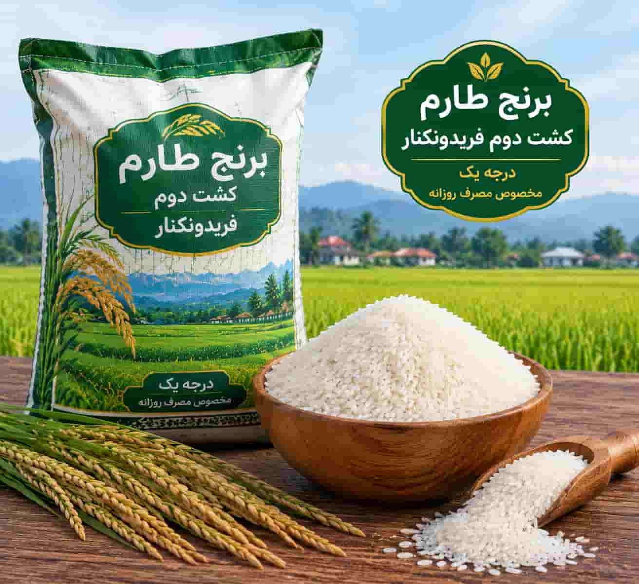 برنج طارم کشت دوم فریدونکنار درجه یک برای مصرف روزانه