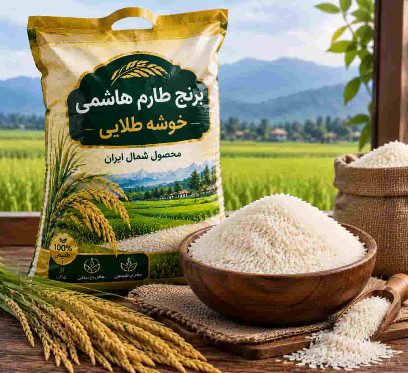 برنج طارم هاشمی خوشه طلایی با کیفیت مناسب بازار ایران