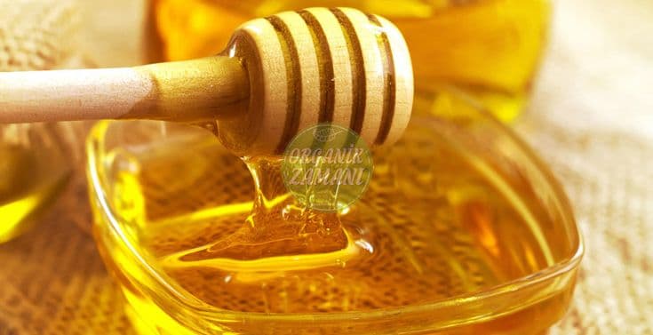 تصویر 4 از خرید عسل صنعتی باکیفیت برتر وقیمت مناسب