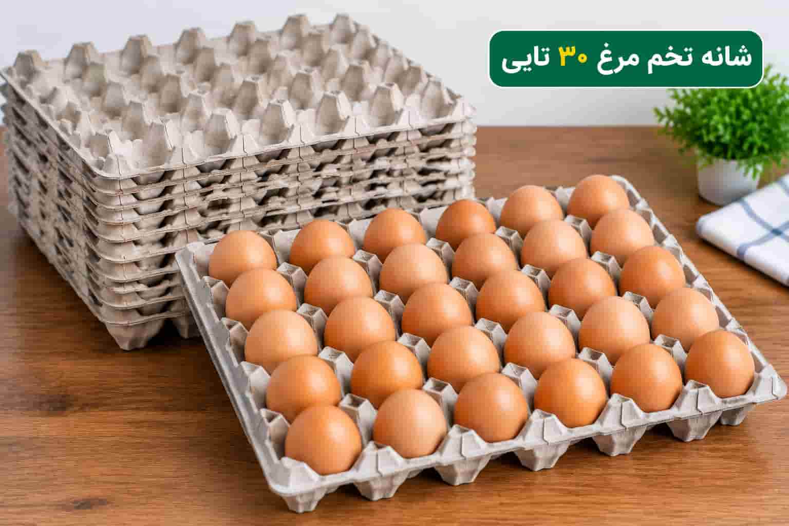 شانه تخم مرغ 30 تایی مناسب مرغداری های کوچک و بزرگ