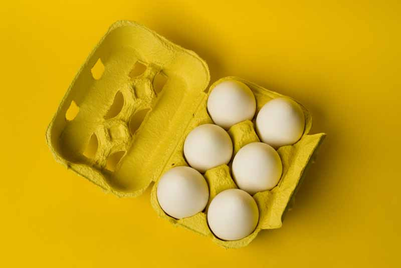 شانه تخم مرغ درب دار با مدل های متنوع برای بسته بندی