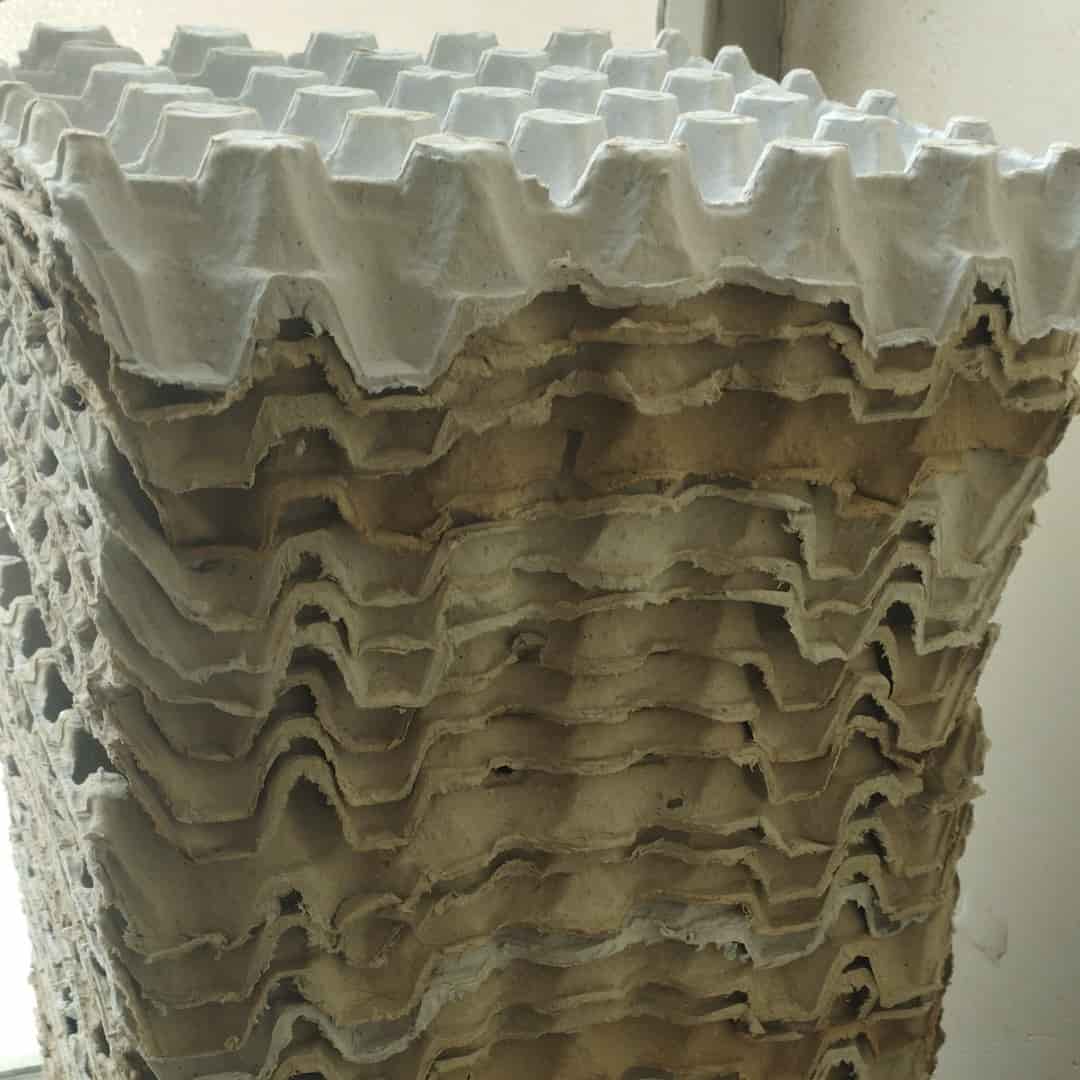 شانه