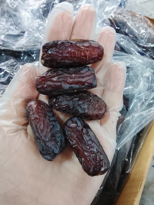 خرما کبکاب پیارم تازه با ظاهر جذاب و طعمی دلچسب