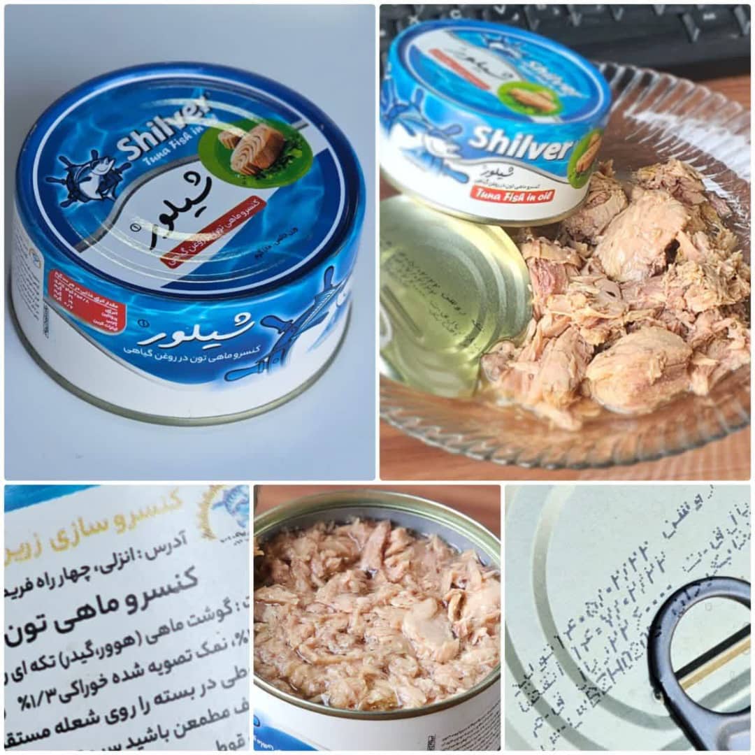 فروش عمده کنسرو ماهی شیلور