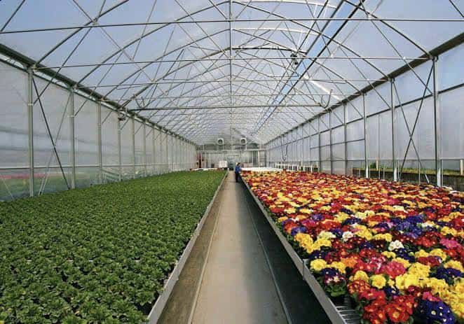 نایلون عریض گلخانه با کیفیت بالا برای تولید محصولات سالم