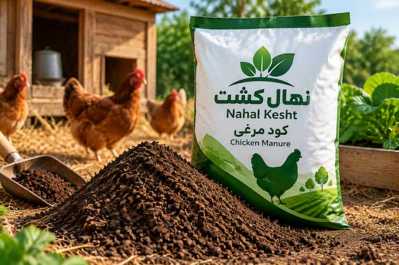 کود مرغی نهال کشت مناسب تامین باغداران و کشاورزان