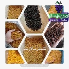 تصویر 3 از تأمین کشمش تیزابی با امکان تغییر وزن بسته‌بندی