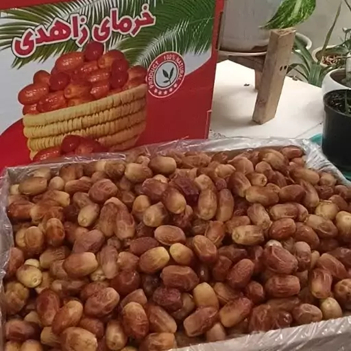 خرما زاهدی کارتونی مرغوب با طعم شیرین و ماندگاری بالا