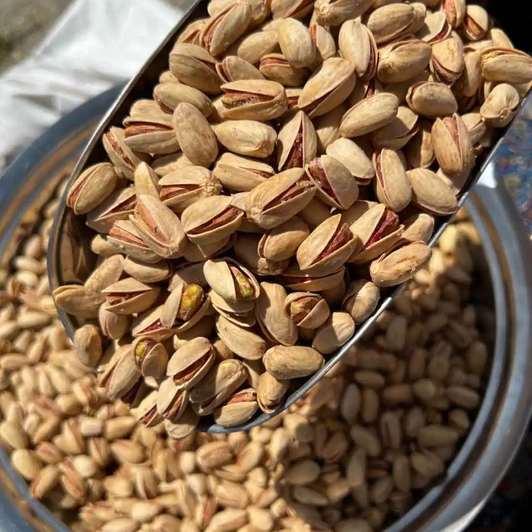 تامین پسته اکبری دستچین ممتاز کرمان جلوه ای ممتاز برای بازار جهانی + قیمت و خرید عمده