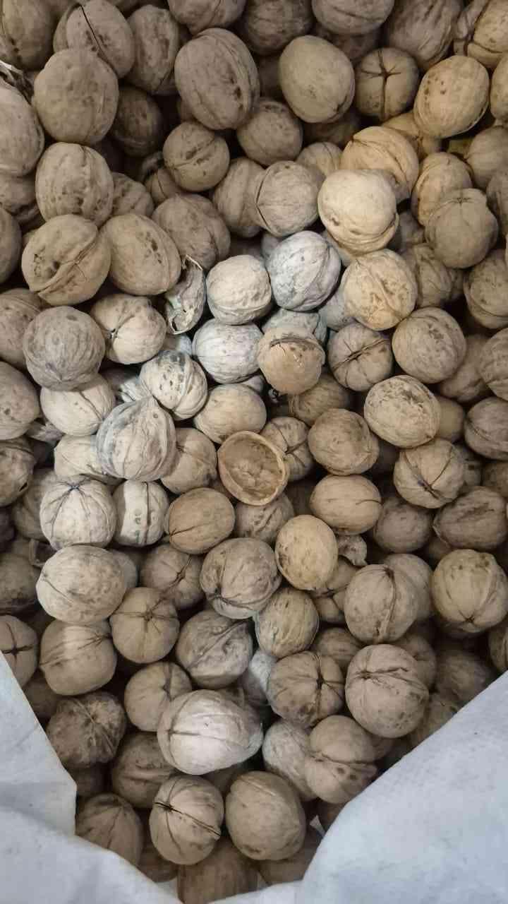 قیمت گردو ممتاز