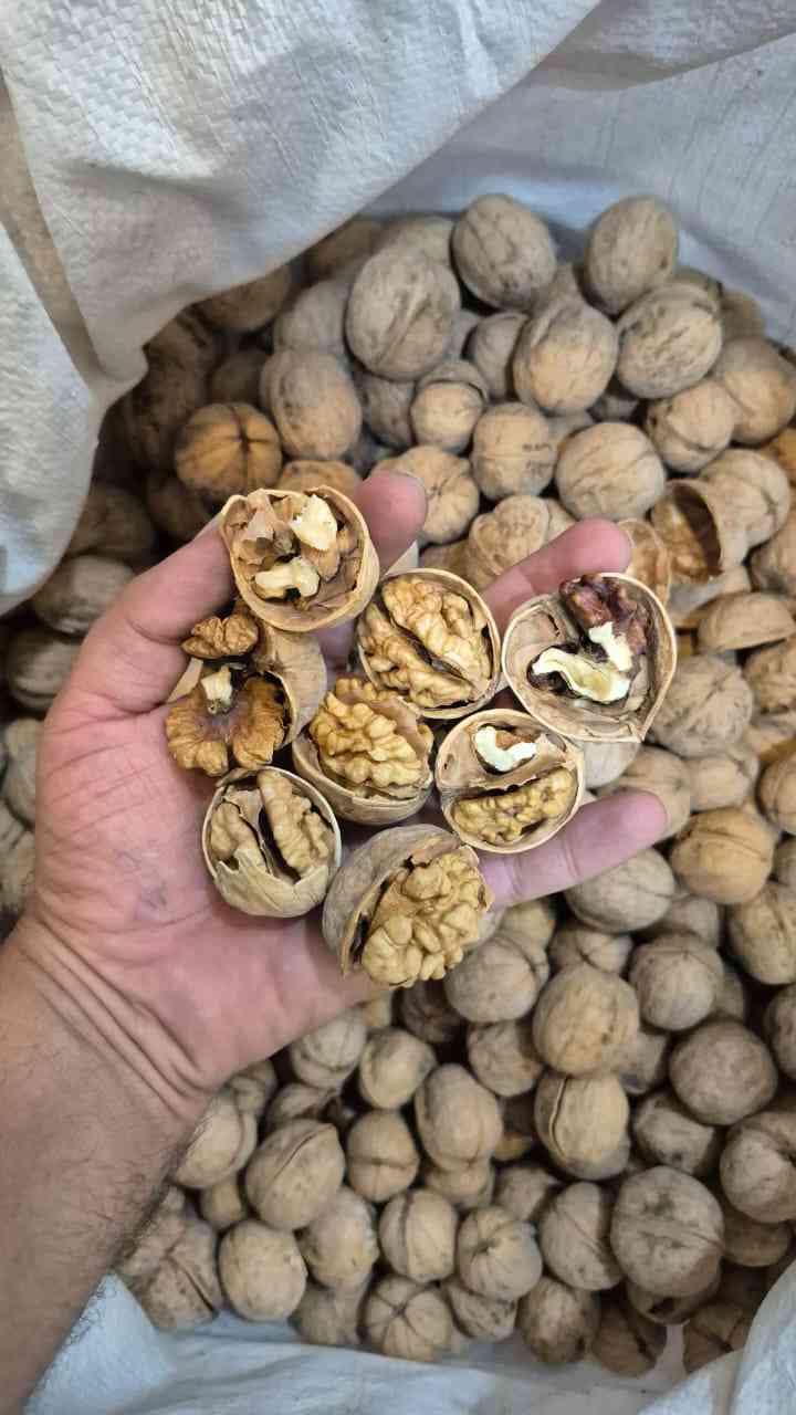 فروش گردو ممتاز