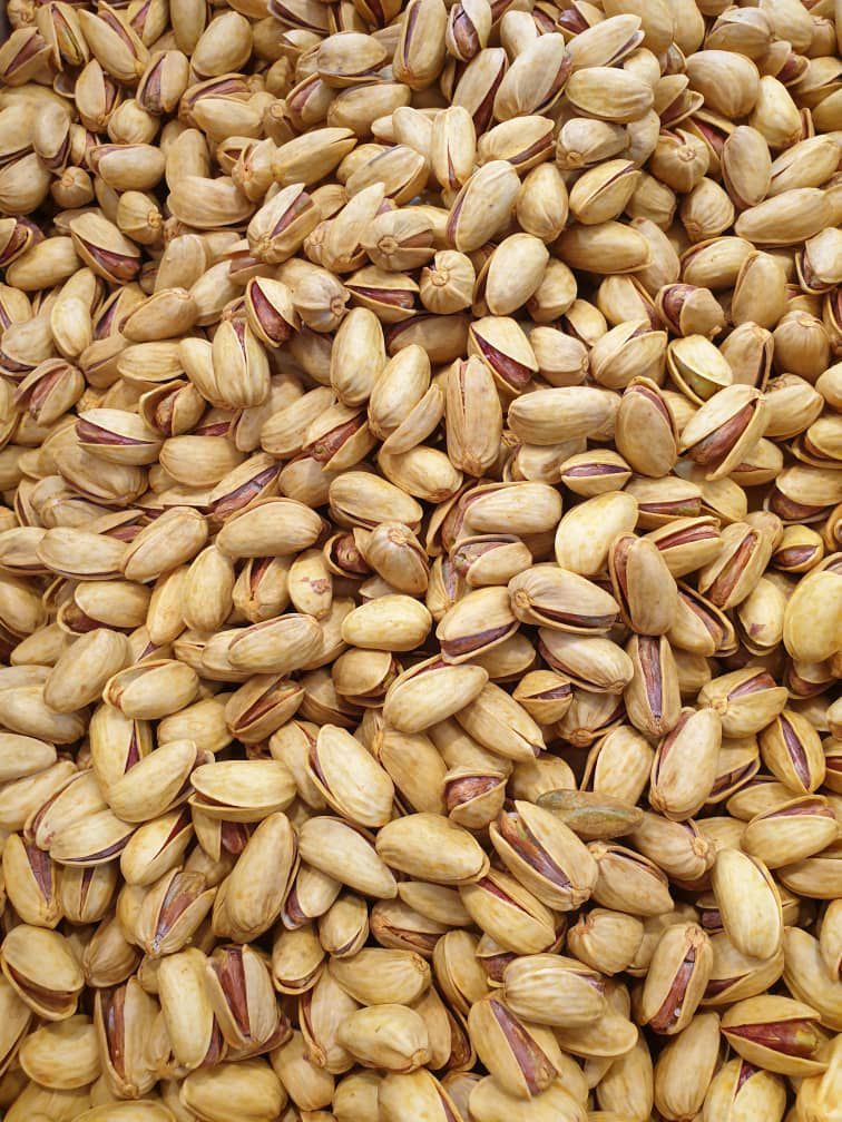 تامین عمده پسته اکبری مجلسی + طعم اصیل برای بازار های بین المللی + قیمت و خرید عمده