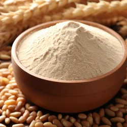 تصویر 1 از تأمین گلوتن گندم + فروش عمده و ارسال سریع