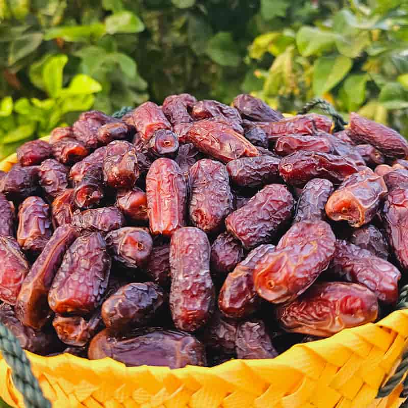خرما پیارم ارگانیک محصولی خاص از نخلستان های جنوب
