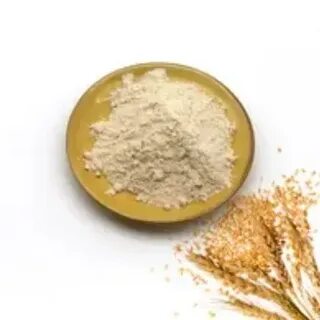 تصویر 1 از گلوتن گندم با کیفیت + استعلام قیمت، خرید عمده و تأمین پایدار