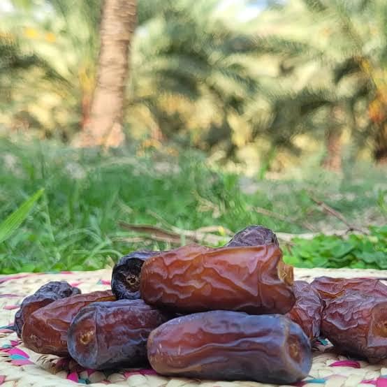 خرما پیارم عربی با ظاهر تیره و شیرینی طبیعی